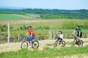 Bike & Nature package - Aminess Maestral Hotel ****