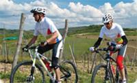 Istra Bike: Umag/Novigrad, MTB trails