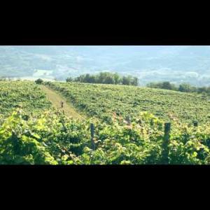 Cycling In Istria