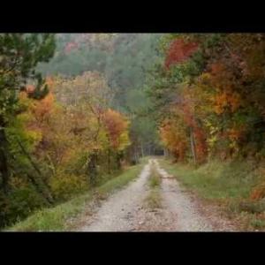 PARENZANA - The trail of health and friendship